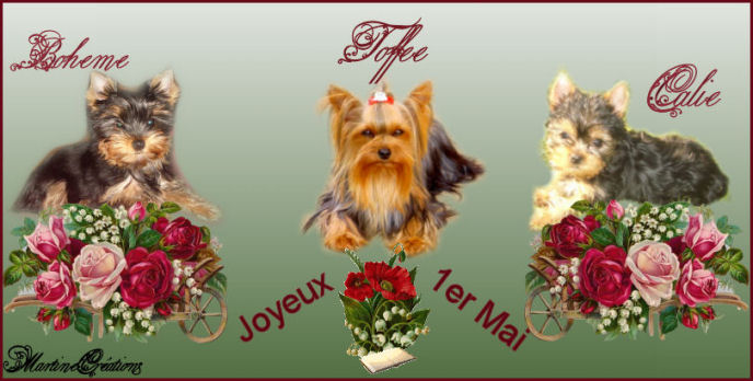 Merci � Toffee et Martine pour ce superbe porte bonheur !