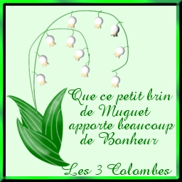 merci � nos amis des 3 Colombes 