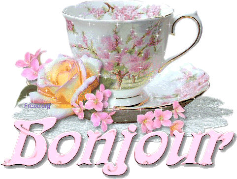Merci � Frizou pour ce magnifique cadeau 
