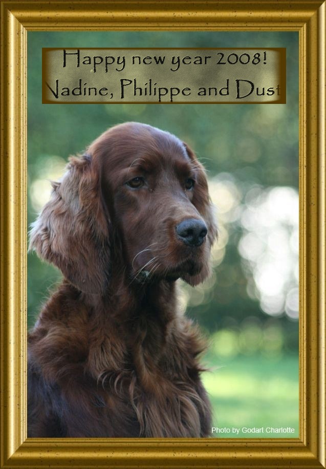 merci � Nadine et son beau setter Dust, un envoi de Belgique !