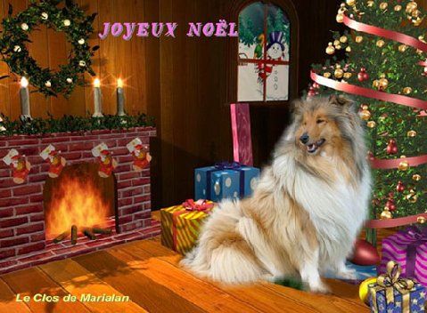merci � Marie et Alain, meileurs voeux !