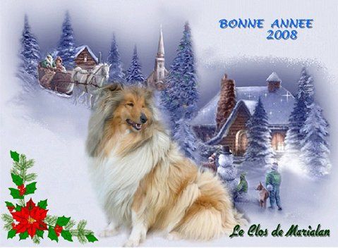 merci au clos de Marialan pour son joli cadeau !
