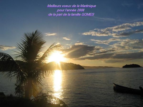 merci � la famille Gomes ... meilleurs voeux !