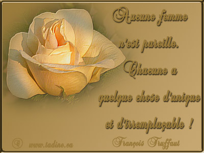 merci Fanfan, bonne journee de la femme !