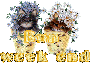 merci fanfan...Bon weekend !