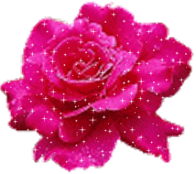 merci � coeur d'Amour pour cette belle rose