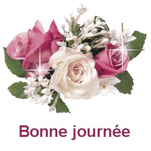 merci Rosie !