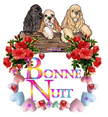 merci Monica, bonne nuit !