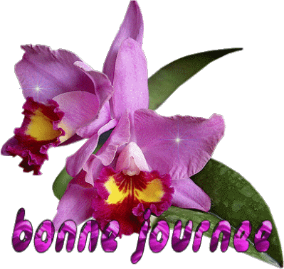 merci � Nadine de trans !