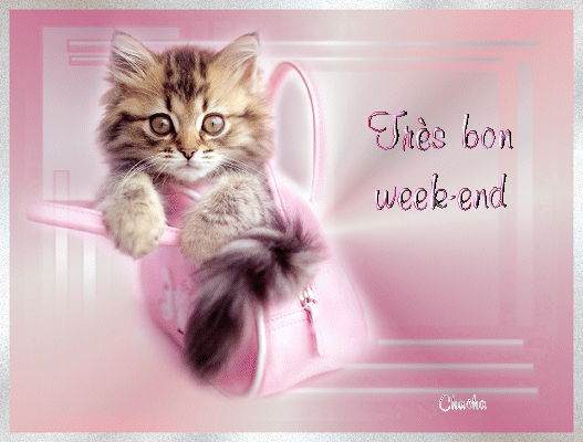 merci Fanfan bon weekend !