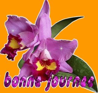 merci Rosie !