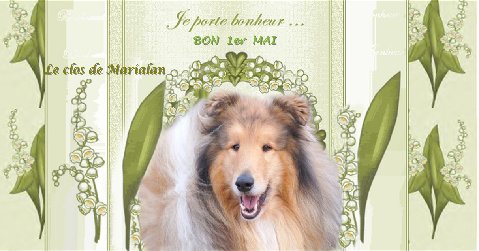 Merci  � Marie et Alain , caresse � Dune !