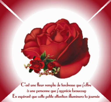 merci Rose !