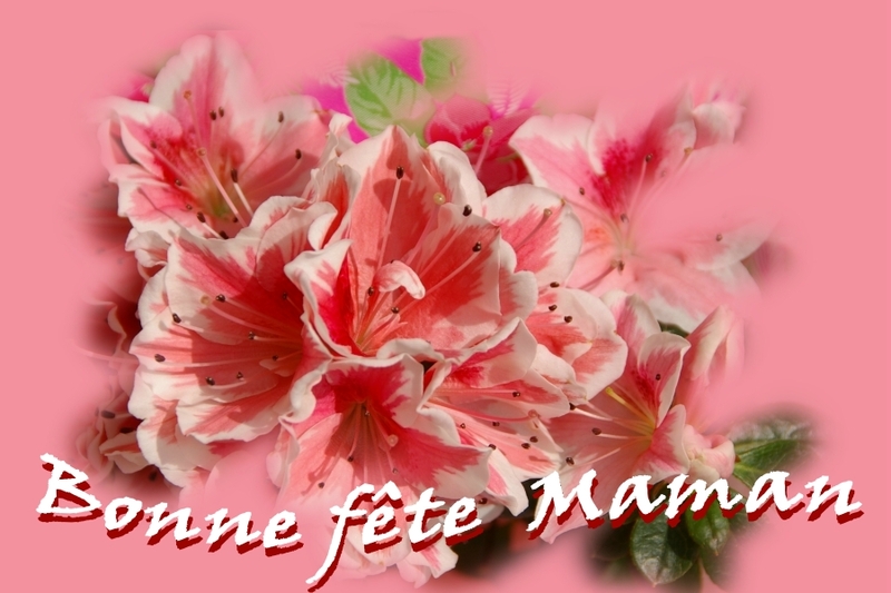 merci Fanfan !