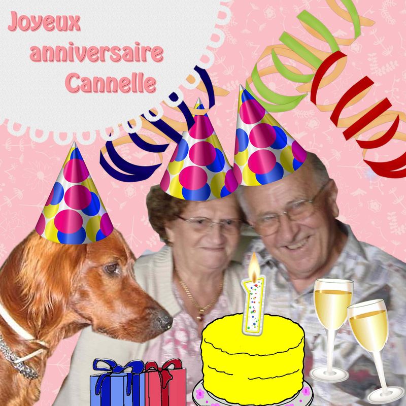 merci Anne Marie pour cette belle composition !