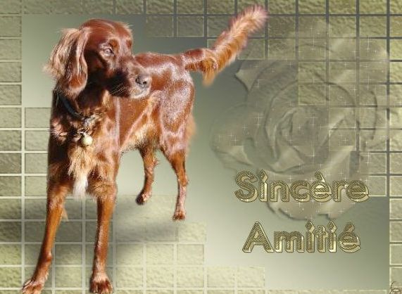 merci � Chris pour cette carte de Voxane � l'occasion de  l'anniversaire de Cannelle 