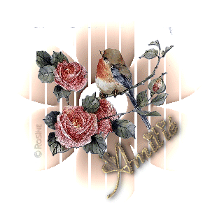 merci Fanfan