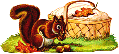merci fanfan pour ce bel ecureuil à la veille de l'automne !