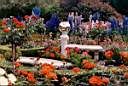 Butchart garden dans l'ile de Vancouver