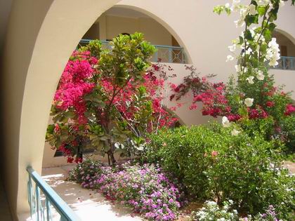 Jardin de notre hotel à Hurghada !