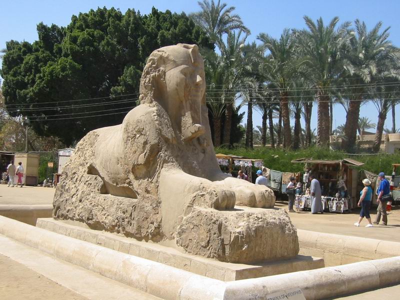 à Memphis le sphinx d'albatre représentant Aménophis II