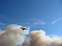 Canadair en action sur l'incendie