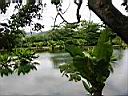 pice d'eau au jardin du Val