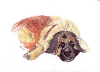 Porthos