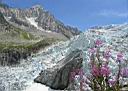 glacier d'Argentires...photo Christian Pourre 