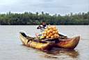 vendeur de noix de cocos sur le Bentota Ganga