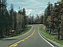 route de north rim a jacob lake foret de kaibab photo xl