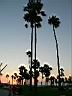 Venice beach photo xl 