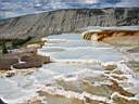 mamoth springs yellowstone 