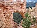 bryce canyon natural bridge