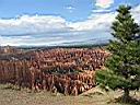 bryce point 